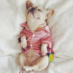 Summer Soft Silk French Bulldog Pajamas Pet Dog Pajama For Small Dogs Puppy Cat Clothes Pets Clothing