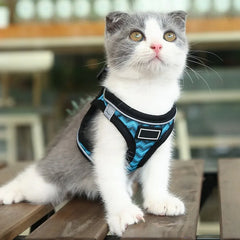 Cat Harness and Leash Set for Walking Small Dog Harness Reflective Strips Breathable Mesh Harness Vest For Puppy Kitten