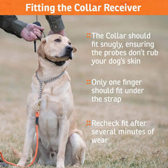 Remote Trainer - Bright, Easy to Read OLED Screen - 3/4 Mile Range - Waterproof, Rechargeable Dog Training Collar with Tone