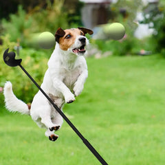 Dog Toys Throwing Pole Pet Throwing Stick Hand Throwing Ball Toys Pet Tennis Launcher Pole Outdoor Training Toys Pet Supplies