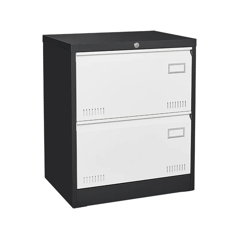 2 Drawer Metal Lateral File Cabinet with Lock,Office Vertical Files Cabinet for Home Office/Legal/Letter/A4,Locking Metal File C