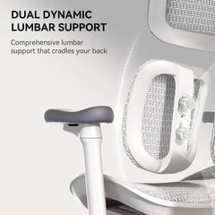 Ergonomic Office Chair - with Dual Dynamic Lumbar Support, 5-Level Adjustable Backrest, 4D Coordinated Armrests, 135-degree Max