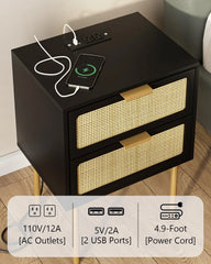 Rattan Nightstand with Charging Station, 2 Drawer Dresser for Bedroom, Small Bedside Table with 2 Drawers, Night Stand,