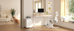 FLEXISPOT Comhar electric upright, with drawers, USB ports A to C for charging, adjustable height, 48 inch computer desk