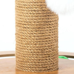 4 In 1 Cat Scratching Post Interactive Cat Scratcher Spring Cat Toy Fun Pet Training Toy Sisal Rope Cat Scratcher For Indoor