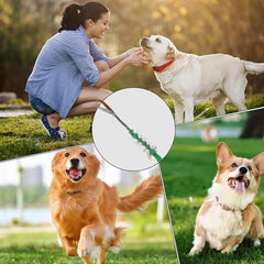 Dog Tug Toy Fun Squeaky Dog Chew Toys Pet Supplies Puppy Rope Toy With Elastic Drawstring Interactive Puppy Teething Toy For