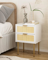 Rattan Nightstand with Charging Station, 2 Drawer Dresser for Bedroom, Small Bedside Table with 2 Drawers, Night Stand,