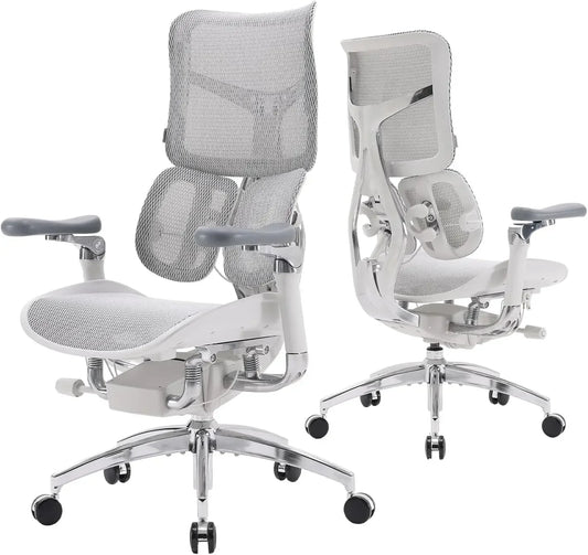 Ergonomic Office Chair - with Dual Dynamic Lumbar Support, 5-Level Adjustable Backrest, 4D Coordinated Armrests, 135-degree Max