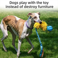 Dog Tug Toy Fun Squeaky Dog Chew Toys Pet Supplies Puppy Rope Toy With Elastic Drawstring Interactive Puppy Teething Toy For