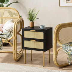 Rattan Nightstand with Charging Station, 2 Drawer Dresser for Bedroom, Small Bedside Table with 2 Drawers, Night Stand,