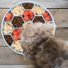 Silicone Slow Feeder Dog Bowls Prevents Gulping And Vomiting Dog Feeder With Hexagonal Honeycomb Dog Food Bowls Dog Plates For