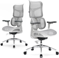 Ergonomic Office Chair - with Dual Dynamic Lumbar Support, 5-Level Adjustable Backrest, 4D Coordinated Armrests, 135-degree Max