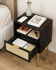 Rattan Nightstand with Charging Station, 2 Drawer Dresser for Bedroom, Small Bedside Table with 2 Drawers, Night Stand,