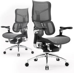 Ergonomic Office Chair - with Dual Dynamic Lumbar Support, 5-Level Adjustable Backrest, 4D Coordinated Armrests, 135-degree Max