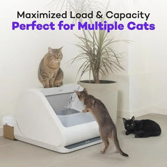 X5 Self-Cleaning Cat Litter Box, 30-Day Capacity - Automatic Litter Scooping Robot, Odor-Seal Disposable Cardboard Bin