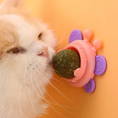 Catnip Wall Roller Safe And Healthy Cat Molar Catnip Balls Easy To Use Fun Interactive Cat Lick Chew Toy For Indoor Use