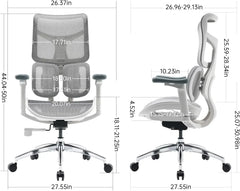 Ergonomic Office Chair - with Dual Dynamic Lumbar Support, 5-Level Adjustable Backrest, 4D Coordinated Armrests, 135-degree Max