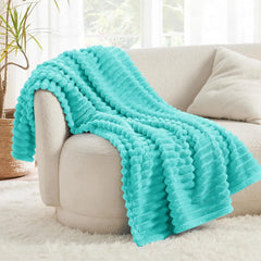 Bedsure Fleece Throw Blanket for Couch - Super Soft Cozy Blankets for Women, Cute Small Blanket for Boys and Girls