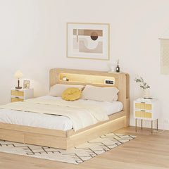 Rattan Nightstand with Charging Station, 2 Drawer Dresser for Bedroom, Small Bedside Table with 2 Drawers, Night Stand,