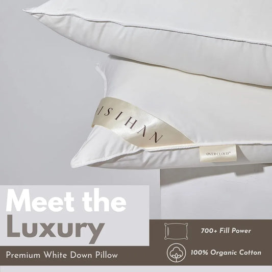 Goose Down Pillows, Down Pillow for Side Sleeper, Queen Bed Pillows with 700+ Fill Power, 100% Cotton 500 TC Cover Down Pillow