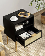 Rattan Nightstand with Charging Station, 2 Drawer Dresser for Bedroom, Small Bedside Table with 2 Drawers, Night Stand,