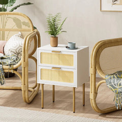 Rattan Nightstand with Charging Station, 2 Drawer Dresser for Bedroom, Small Bedside Table with 2 Drawers, Night Stand,