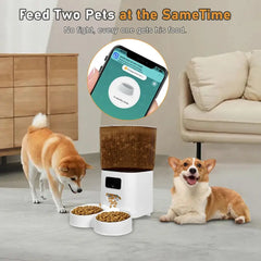 Smart Pet Feeder with Dual Bowls, WiFi APP Remote Control 5L Transparent Storage Bucket Automatic Cat Food Dispenser