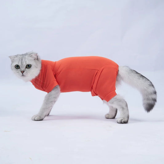 Cat Recovery Suit for Dogs Cats Jumpsuit After Surgery Shirt for Puppy Cats Male Female Wound Protective Clothes Prevent Licking