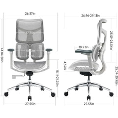 Ergonomic Office Chair - with Dual Dynamic Lumbar Support, 5-Level Adjustable Backrest, 4D Coordinated Armrests, 135-degree Max