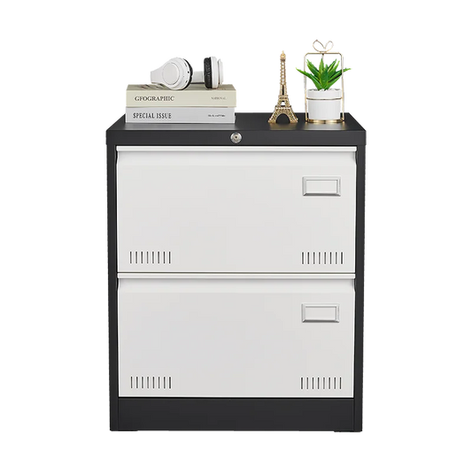 2 Drawer Metal Lateral File Cabinet with Lock,Office Vertical Files Cabinet for Home Office/Legal/Letter/A4,Locking Metal File C